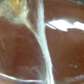 DSCN7101
