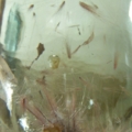 DSCN2985