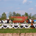 P1140541