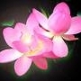 imagesCAQ4Z7WY