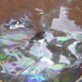 DSCN1181