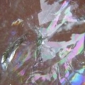 DSCN1177