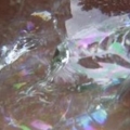 DSCN1173