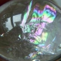 DSCN0934