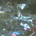 DSCN3349