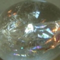 DSCN3369