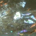 DSCN3371