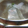 DSCN3074