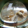 DSCN3079