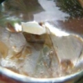 DSCN3081