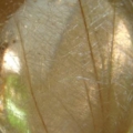 DSCN3308