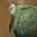 DSCN2658