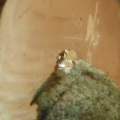 DSCN2664