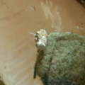 DSCN2662