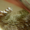 DSCN2679