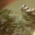 DSCN2680