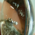 DSCN2702