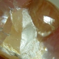 DSCN2186