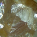 DSCN2189
