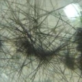 DSCN2042