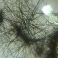 DSCN2040