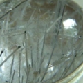 DSCN2207