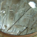 DSCN2197