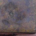 DSC06558