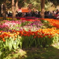PICT0173