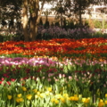 PICT0175