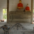 DSC03176