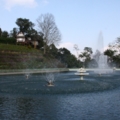 IMG 6824