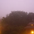 IMG 7523