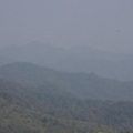 IMG 7020