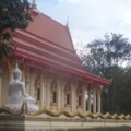 ด้านหลัง