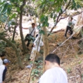 DSCF3421ช่วยกันดับไฟป่า