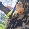 DSCF3602 เพื่อนสวนเกษตร