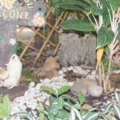 DSCF3626 ยินดีต้อนรับ