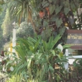 หน้าวัด