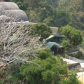 บริเวณวัด
