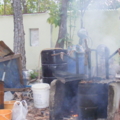 DSCF3464