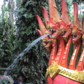 DSC03740