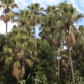 DSC03737