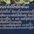 DSC03746