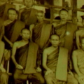 PDVD 033