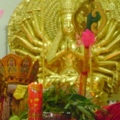 DSC01517
