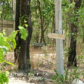 DSCF5995.1