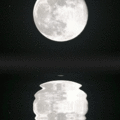 56035.gif