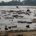 IMG 2785