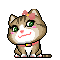 cat 10